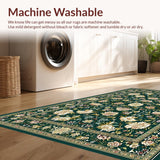 Ultra Soft Area Rug, Non Slip, Stain Resistant, Washable Area Rugs for Living Room, Bedroom, Rustic Intricate Oriental Patterns(Green)