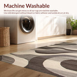 Ultra Soft Area Rug, Non Slip, Stain Resistant, Washable Area Rugs for Living Room, Bedroom, Contemporary Abstract Swirl Motif(Gray)