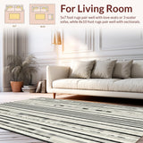 Ultra Soft Area Rug, Non Slip, Stain Resistant, Washable Area Rugs for Living Room, Bedroom, Graphic Stripe Motif Rug for Stylish Decor(Gray)