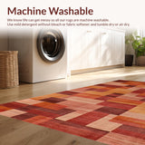 Ultra Soft Area Rug, Non Slip, Stain Resistant, Washable Area Rugs for Living Room, Bedroom, Elegant Distressed Colorful Pattern(Brown)