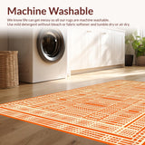 Ultra Soft Area Rug, Non Slip, Stain Resistant, Washable Area Rugs for Living Room, Bedroom, Timeless Earthy Abstract Pattern(Orange)