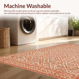 Ultra Soft Area Rug, Non Slip, Stain Resistant, Washable Area Rugs for Living Room, Bedroom, Modern Chic Knotted Tassel Aesthetic(Orange)