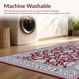 Ultra Soft Area Rug, Non Slip, Stain Resistant, Washable Area Rugs for Living Room, Bedroom, Artful Abstract Color Contrast(Red)