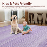 Ultra Soft Area Rug, Non Slip, Stain Resistant, Washable Area Rugs for Living Room, Bedroom, Chic Lilac Shag Style(Purple)