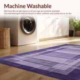 Ultra Soft Area Rug, Non Slip, Stain Resistant, Washable Area Rugs for Living Room, Bedroom, Vibrant Lattice Design Motif(Purple)