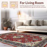 Ultra Soft Area Rug, Non Slip, Stain Resistant, Washable Area Rugs for Living Room, Bedroom, Vintage Low-Pile Laundry Room Carpet Teal(Red)