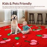 Ultra Soft Area Rug, Non Slip, Stain Resistant, Washable Area Rugs for Living Room, Bedroom, Bold Modern Fruit Illustrations(Red)