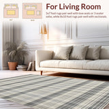 Ultra Soft Area Rug, Non Slip, Stain Resistant, Washable Area Rugs for Living Room, Bedroom, Minimalist Warm Color Palette(Gray)