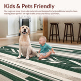 Ultra Soft Area Rug, Non Slip, Stain Resistant, Washable Area Rugs for Living Room, Bedroom, Low Pile Area with Beige and Green Boho Chevron(Green)