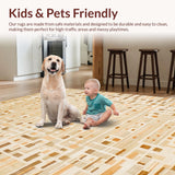 Ultra Soft Area Rug, Non Slip, Stain Resistant, Washable Area Rugs for Living Room, Bedroom, Rustic Neutral Textured Aesthetic(Beige)