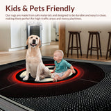 Ultra Soft Area Rug, Non Slip, Stain Resistant, Washable Area Rugs for Living Room, Bedroom, Artistic Vinyl Record Motif(Black)