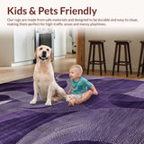 Ultra Soft Area Rug, Non Slip, Stain Resistant, Washable Area Rugs for Living Room, Bedroom, Artistic Contemporary Soft Surface(Purple)