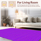 Ultra Soft Area Rug, Non Slip, Stain Resistant, Washable Area Rugs for Living Room, Bedroom, Dreamy Cozy Shag Design(Purple)