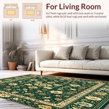 Ultra Soft Area Rug, Non Slip, Stain Resistant, Washable Area Rugs for Living Room, Bedroom, Ornate Floral(Green)