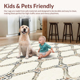 Ultra Soft Area Rug, Non Slip, Stain Resistant, Washable Area Rugs for Living Room, Bedroom, Artful Geometric Soft Ivory Shades(Beige)