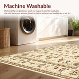 Ultra Soft Area Rug, Non Slip, Stain Resistant, Washable Area Rugs for Living Room, Bedroom, Beige Floral Runner for Kitchen and Hallway(Beige)