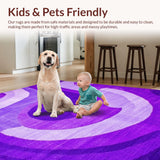 Ultra Soft Area Rug, Non Slip, Stain Resistant, Washable Area Rugs for Living Room, Bedroom, Playful Modern Abstract Swirls(Purple)