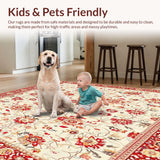Ultra Soft Area Rug, Non Slip, Stain Resistant, Washable Area Rugs for Living Room, Bedroom, Red and Beige Sunburst Floral Area(Ivory)