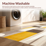 Ultra Soft Area Rug, Non Slip, Stain Resistant, Washable Area Rugs for Living Room, Bedroom, Modern Minimalist Area Elegant Indoor Throw(Gray)
