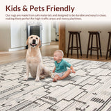 Ultra Soft Area Rug, Non Slip, Stain Resistant, Washable Area Rugs for Living Room, Bedroom, Rustic Subtle Patterned Collection(Gray)