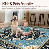Ultra Soft Area Rug, Non Slip, Stain Resistant, Washable Area Rugs for Living Room, Bedroom, Striking Modern Lattice Patterns(Blue)