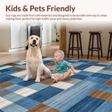 Ultra Soft Area Rug, Non Slip, Stain Resistant, Washable Area Rugs for Living Room, Bedroom, Elegant Earthy Toned Checkered Aesthetic(Blue)