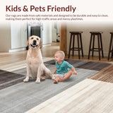 Ultra Soft Area Rug, Non Slip, Stain Resistant, Washable Area Rugs for Living Room, Bedroom, Elegant Earthy Abstract Composition(Gray)