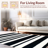 Ultra Soft Area Rug, Non Slip, Stain Resistant, Washable Area Rugs for Living Room, Bedroom, Transitional Geometric Line Art(Black)