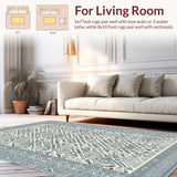 Ultra Soft Area Rug, Non Slip, Stain Resistant, Washable Area Rugs for Living Room, Bedroom, Stylish Boho Diamond Weave(Gray)