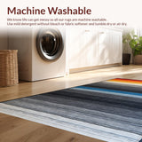 Ultra Soft Area Rug, Non Slip, Stain Resistant, Washable Area Rugs for Living Room, Bedroom, Rustic Textured Minimalist Design(Gray)