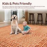 Ultra Soft Area Rug, Non Slip, Stain Resistant, Washable Area Rugs for Living Room, Bedroom, Terracotta Cozy Shag Elegance(Beige)