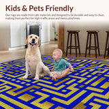 Ultra Soft Area Rug, Non Slip, Stain Resistant, Washable Area Rugs for Living Room, Bedroom, Classic Pattern Office Study Area Rug 5x7ft(Gold)