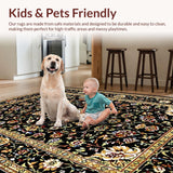 Ultra Soft Area Rug, Non Slip, Stain Resistant, Washable Area Rugs for Living Room, Bedroom, Elegant Earthy Botanical Motif(Black)