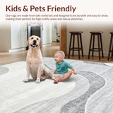 Ultra Soft Area Rug, Non Slip, Stain Resistant, Washable Area Rugs for Living Room, Bedroom, Sleek Minimalist Plush Cloud Effect(Gray)