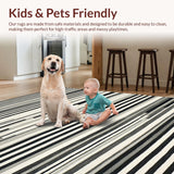 Ultra Soft Area Rug, Non Slip, Stain Resistant, Washable Area Rugs for Living Room, Bedroom, Monochrome Maze: Graphic Stripe Woven Accent Rug for Entry(Black)