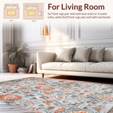 Ultra Soft Area Rug, Non Slip, Stain Resistant, Washable Area Rugs for Living Room, Bedroom, Vibrant Boho Abstract Theme(Gray)