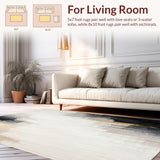 Ultra Soft Area Rug, Non Slip, Stain Resistant, Washable Area Rugs for Living Room, Bedroom, Modern Artistry Abstract Area Ink Wash Collection(White)