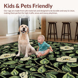 Ultra Soft Area Rug, Non Slip, Stain Resistant, Washable Area Rugs for Living Room, Bedroom, Bold Modern Floral Arrangement(Black)