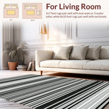 Ultra Soft Area Rug, Non Slip, Stain Resistant, Washable Area Rugs for Living Room, Bedroom, Rustic Minimalist Graphic Pattern(Black)