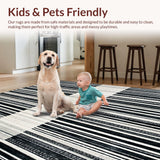Ultra Soft Area Rug, Non Slip, Stain Resistant, Washable Area Rugs for Living Room, Bedroom, Graphic Stripe Accent Rug with Dynamic Linework and Contemporary Contrast(Black)