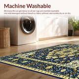 Ultra Soft Area Rug, Non Slip, Stain Resistant, Washable Area Rugs for Living Room, Bedroom, Classy Neutral Area with Intricate(Blue)