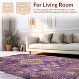 Ultra Soft Area Rug, Non Slip, Stain Resistant, Washable Area Rugs for Living Room, Bedroom, Contemporary Textured Color Burst(Purple)