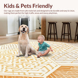 Ultra Soft Area Rug, Non Slip, Stain Resistant, Washable Area Rugs for Living Room, Bedroom, Non Slip Underlay Featuring Strong Hold Technology for Runner and Area(Orange)