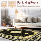 Ultra Soft Area Rug, Non Slip, Stain Resistant, Washable Area Rugs for Living Room, Bedroom, Elegant Black Floral Symphony(Black)