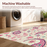 Ultra Soft Area Rug, Non Slip, Stain Resistant, Washable Area Rugs for Living Room, Bedroom, Colorful Paisley Living Room Non-Shedding Rug(Beige)