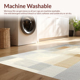 Ultra Soft Area Rug, Non Slip, Stain Resistant, Washable Area Rugs for Living Room, Bedroom, Sophisticated Neutral Toned Design(Beige)