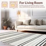 Ultra Soft Area Rug, Non Slip, Stain Resistant, Washable Area Rugs for Living Room, Bedroom, Contemporary Linear Design Area Rug(Black)