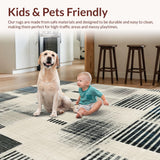 Ultra Soft Area Rug, Non Slip, Stain Resistant, Washable Area Rugs for Living Room, Bedroom, Modern Pinstripe Echo Rug With Bold Alternating Linework Abstract Pattern(Gray)