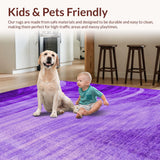 Ultra Soft Area Rug, Non Slip, Stain Resistant, Washable Area Rugs for Living Room, Bedroom, Youthful Bright Splash Motif(Purple)