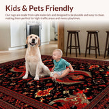 Ultra Soft Area Rug, Non Slip, Stain Resistant, Washable Area Rugs for Living Room, Bedroom, Colorful Dragon Fantasy Aesthetic(Red)